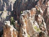 Black Canyon 033